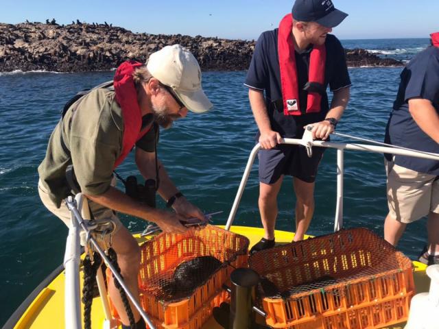 Остров Маврикий награжден за сохранение биологических видов посредством образования