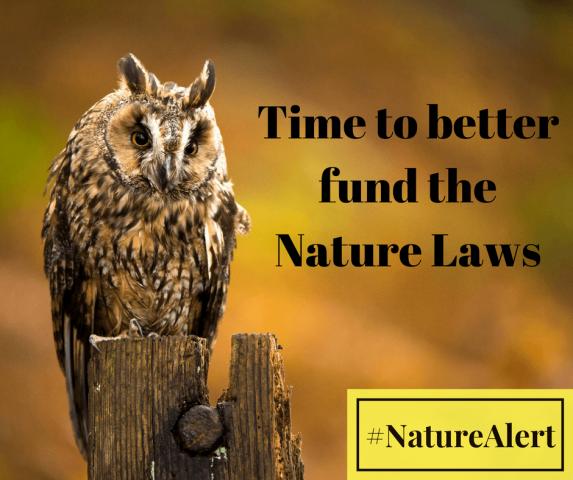 Отзыв BirdLife Europe о дорожной карте оценки Директивы по экологическим преступлениям