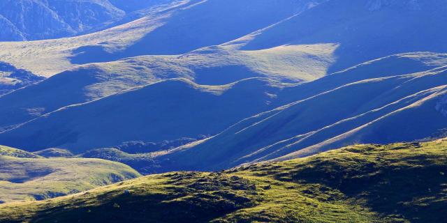 Mafinga Mountain Survey - птицы, летучие мыши и другие открытия