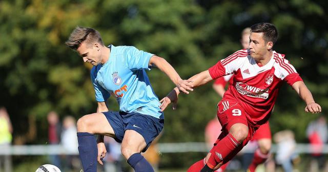 Новости: Рыжий Робин замечен впервые с года