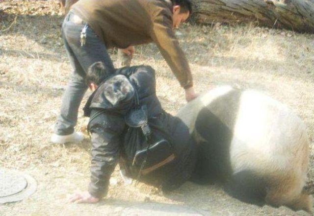 «Текущее нападение на природу угрожает выживанию человека - необходимы преобразующие изменения»