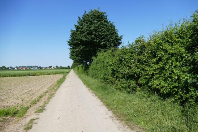 В связи с изменением климата, где мы должны разместить наши заповедники?