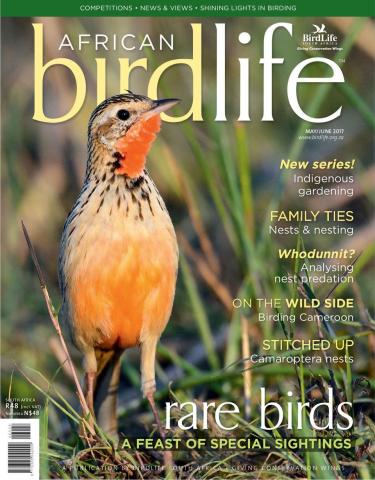 Пресс-релизы BirdLife Africa