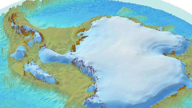 Морской: отображение морских птиц на карте