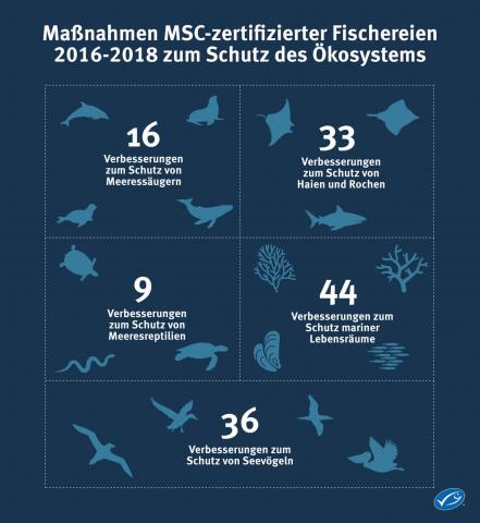 Морской пехотинец: Прекращение прилова морских птиц