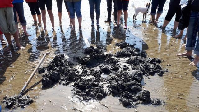 Договор об открытом море: сохранение морской среды за пределами границ