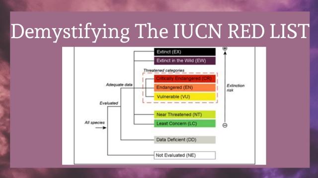 Представляем Красный список МСОП