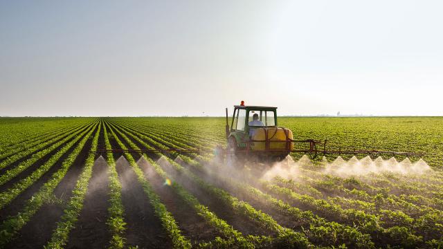 Стратегия ЕС от фермы к вилке полностью игнорирует производство морепродуктов