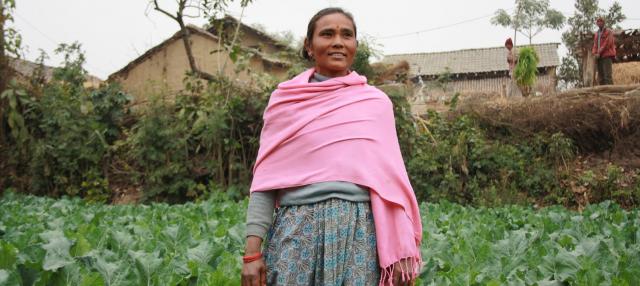 Для реальной продовольственной безопасности нам необходимо экологически чистое сельское хозяйство