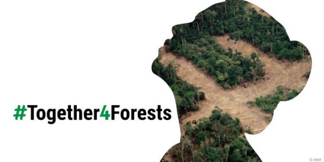 Together4Forests - Зарегистрируйтесь сейчас