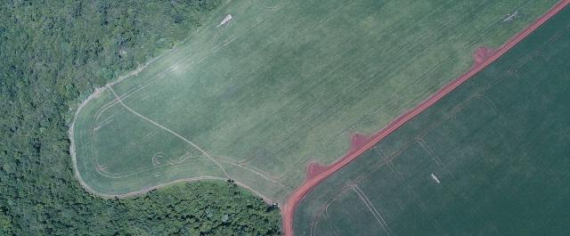 Размышления о пятой Глобальной перспективе в области биоразнообразия: нам нужно воспользоваться этим вторым шансом