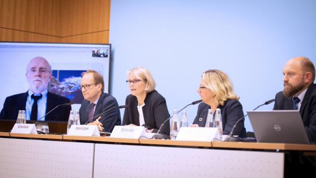 Пресс-релиз: новый отчет показывает, что государства-члены несут ответственность за гибель более 14 миллионов птиц