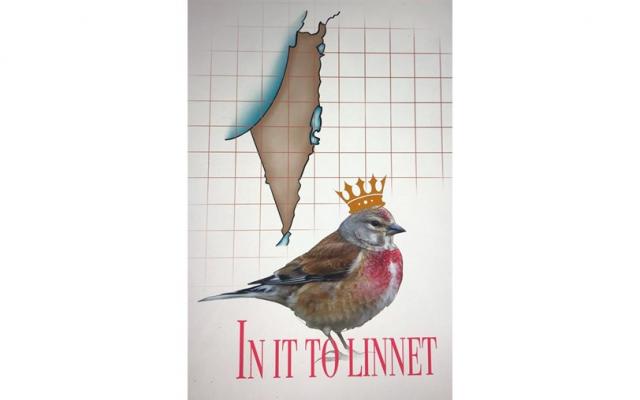 Процедура рассмотрения жалоб BirdLife International